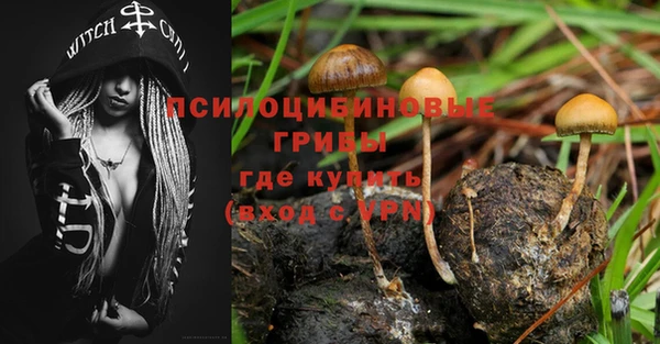 синтетический гашиш Арсеньев