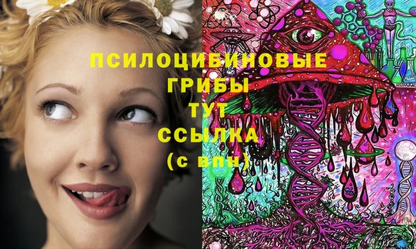 синтетический гашиш Арсеньев