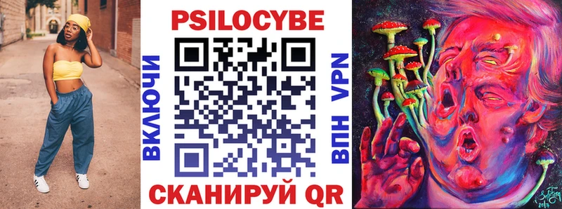 наркота Бузулук Псилоцибиновые грибы Cubensis